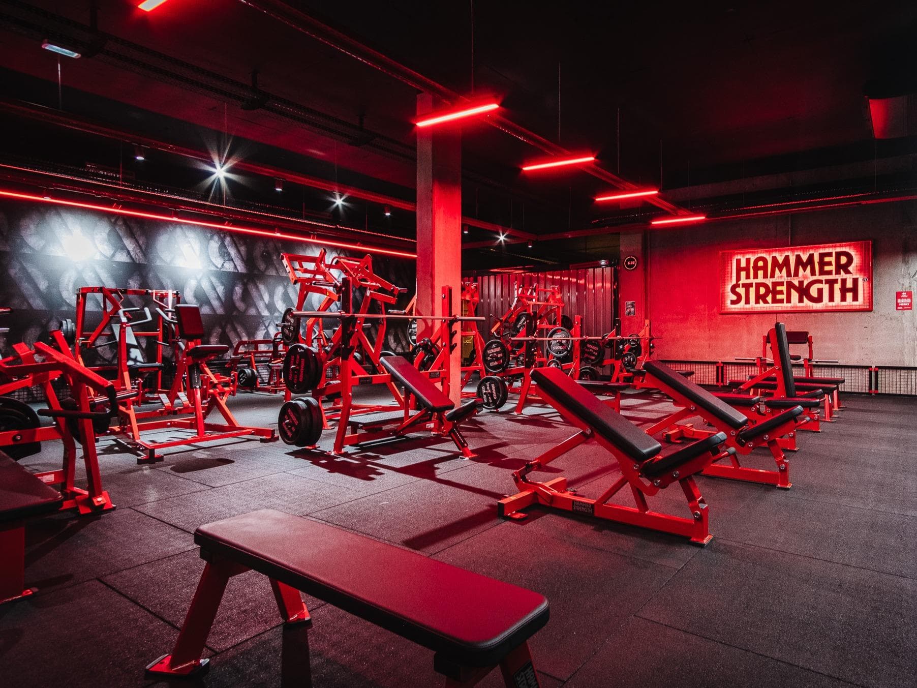 Commercial gym floor with rows of strength machines
