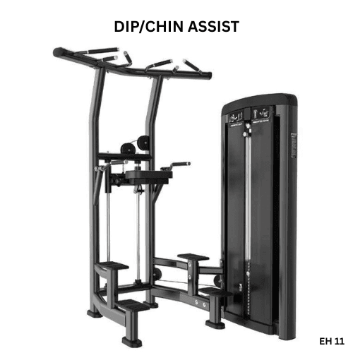 Dip/Chin Assist EH10