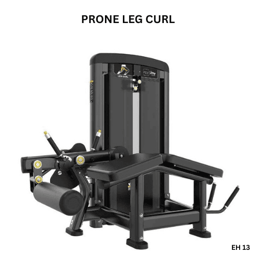 Prone Leg Curl EH13