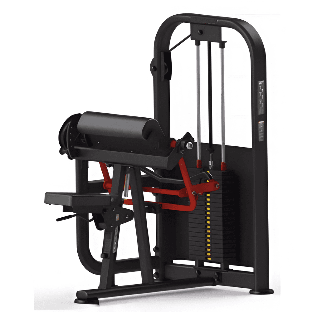 Seated 5 Angles Arm Curl (M005), Iron Strength - Powered by Emma Fitness